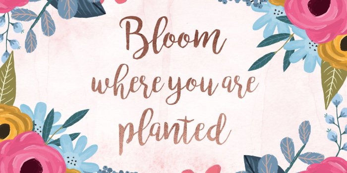 2000x1250 Good Vibes Only Wallpaper Hd The Galleries Of Hd Wallpaper