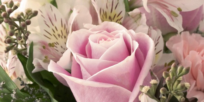 2048x2048 Pastel Flower Bouquet iPad Wallpaper