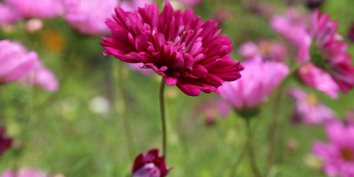 3840x2160 Free HD iPad Wallpapers - Unique Nature Wallpaper