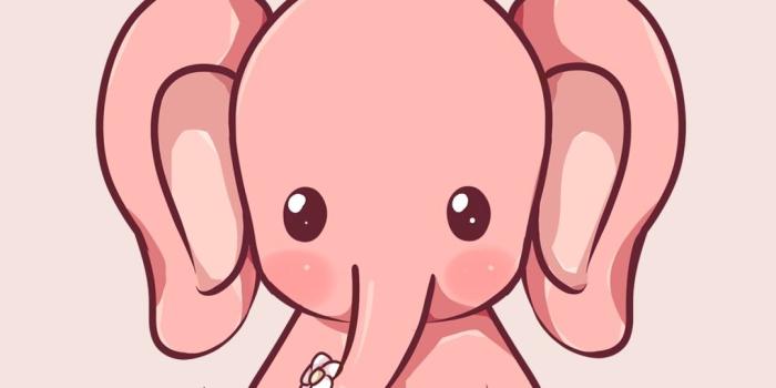 1080x1920 55+ Cute Elephant Wallpapers - Download at WallpaperBro
