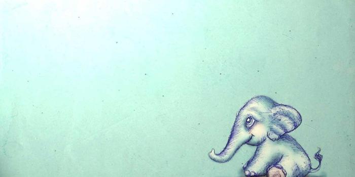 1131x707 Cute Elephant Wallpapers Desktop - Sotoak