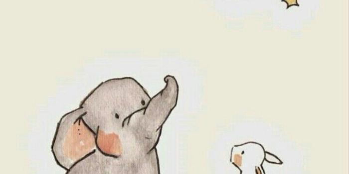 720x1158 Jam on Elephant x Rabbit in 2019 | Elephant wallpaper, Cute