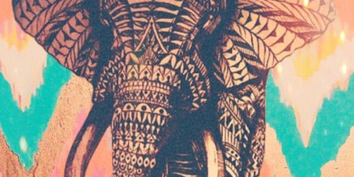 1194x1931 50+ Cute Colorful Elephant Wallpapers - Download at WallpaperBro