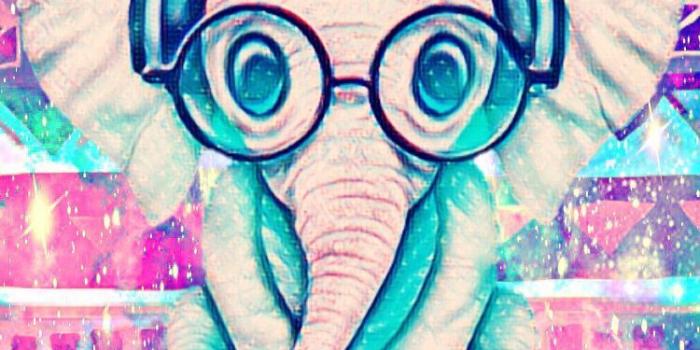 750x1334 40+ Cute Baby Cartoon Elephant Wallpapers - Download at WallpaperBro