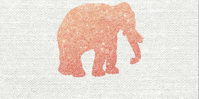 1080x1920 Cute Elephant Wallpaper Background | Elephants in 2019 | Rose gold