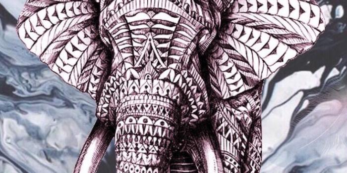 733x1334 Cute Elephant Backgrounds (112+ images in Collection) Page 1