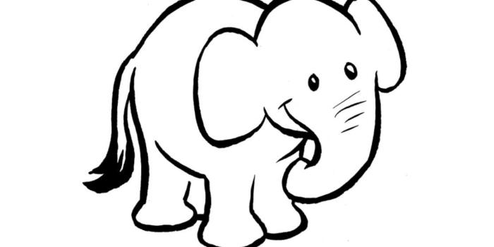 1116x1104 Elephant Drawing Wallpaper at GetDrawings.com | Free for personal