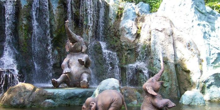 1280x853 Cute Elephant Wallpaper