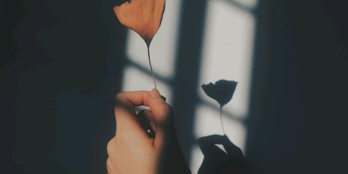 750x1107 Image about photography in 