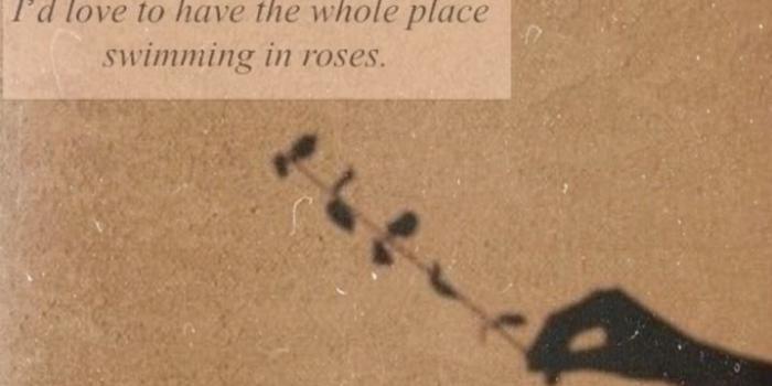 718x1280 Lockscreens☽ — Beige aesthetic 