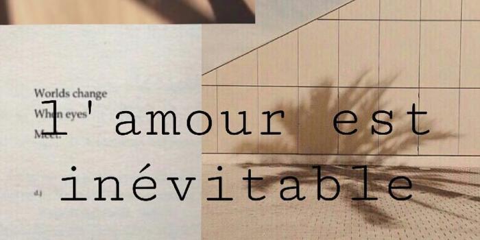 937x1171 Added by @_aestheticwallpapers_ Instagram post Beige, shadow