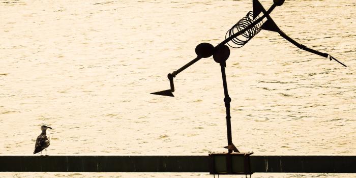 3486x2512 3104544 abstract, aesthetics, art, artwork, bird, celebration, dance