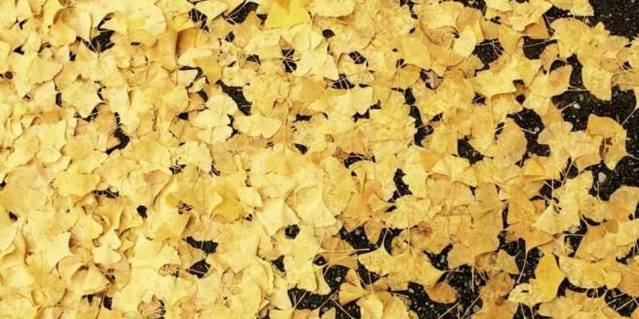 1011x1349 Good Pastel Yellow Aesthetic (#297624) – Hd Wallpaper Download