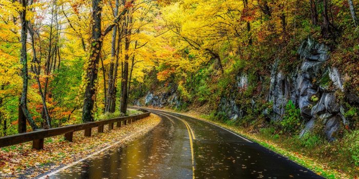 1280x853 Desktop Wallpapers USA Great Smoky Mountains Nature Autumn park