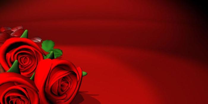 1024x768 Red Flowers wallpaper background | nagenterprise | Rose wallpaper