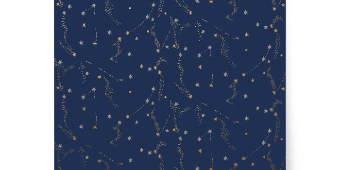 1414x1800 Stardust (Midnight), Roll