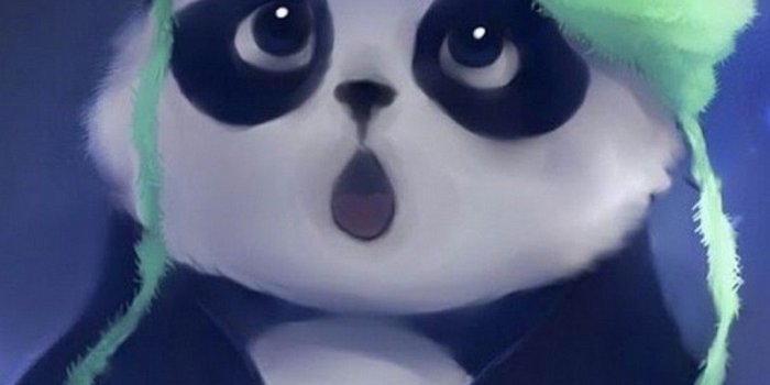 1080x1920 Babul on Cute Panda | Cute panda wallpaper, Panda wallpapers