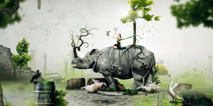 1920x1200 Environmental Desktop Wallpapers - Top Free Environmental Desktop