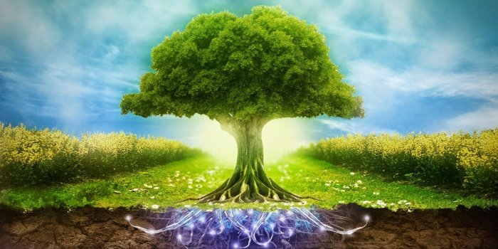 1600x900 Environmental Desktop Wallpapers - Top Free Environmental Desktop