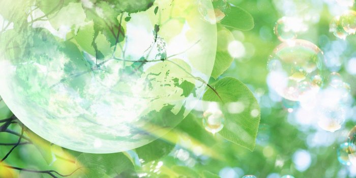 1920x1200 Environmental Desktop Wallpapers - Top Free Environmental Desktop