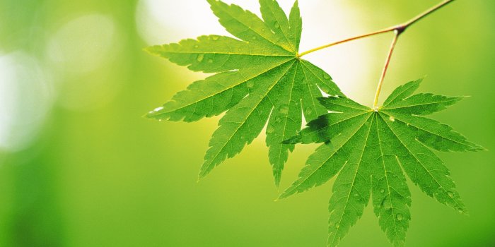 2560x1600 Environmental Desktop Wallpapers - Top Free Environmental Desktop