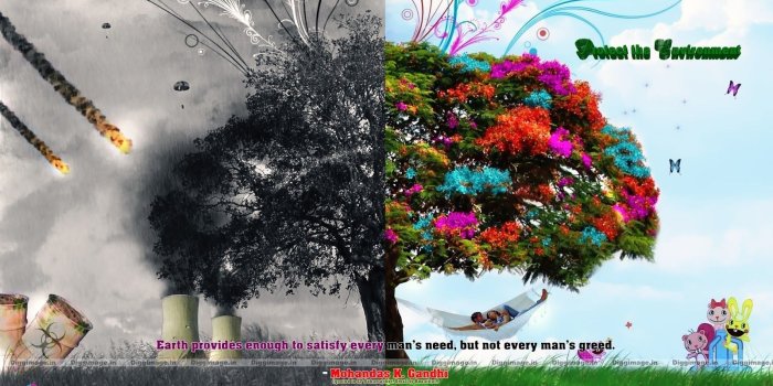 1600x900 Image result for save environment pictures hd | Collage | Tree