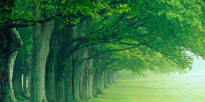 1600x900 Environment Wallpapers