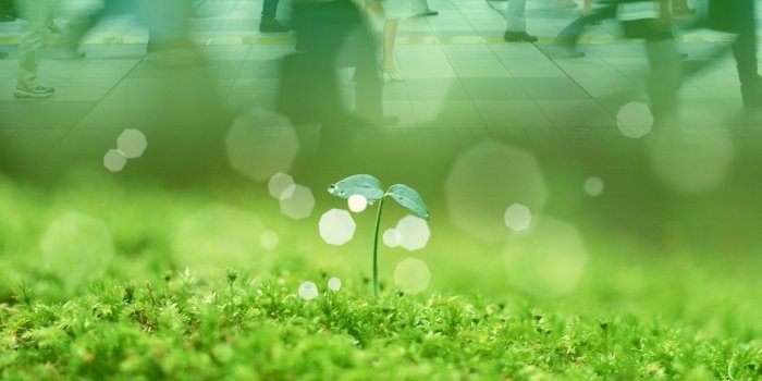 1920x1200 Environmental Wallpapers