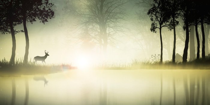 2560x1600 Best 40+ Environmental Wallpaper HD on HipWallpaper | HD Wallpapers