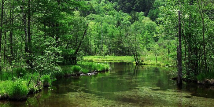 1920x1080 35+ High Resolution Environment Wallpapers - Download at WallpaperBro