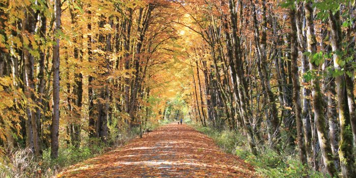 1920x1080 Free Wallpapers | Rails-to-Trails Conservancy