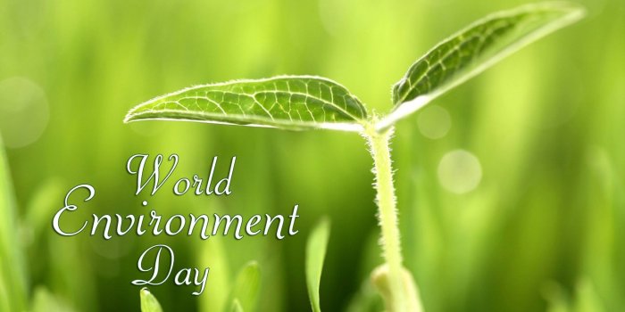 1920x1158 Environmental Wallpapers