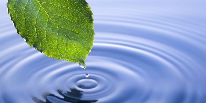 2718x1808 Computer Wallpapers, Desktop Backgrounds Environmental, 2162.87 KB