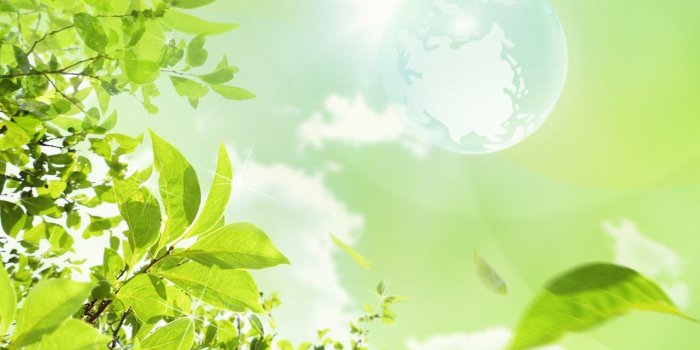 1280x800 Eco Concept and Photo Manipulation of Environment and Nature