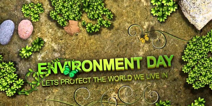 1920x1080 Environment Wallpapers