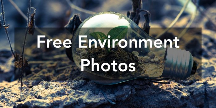1500x1000 1000+ Great Environment Photos · Pexels · Free Stock Photos