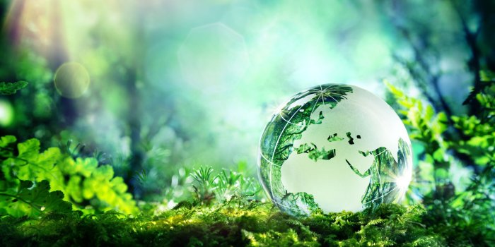 2223x1664 Environment Wallpaper Hd (45+), Find HD Wallpapers For Free