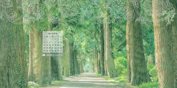 1920x1080 Environmental Desktop Wallpapers - Top Free Environmental Desktop