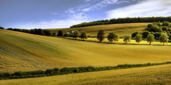 1920x1200 Adapting to climate change will bring new environmental problems