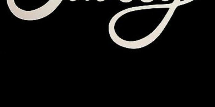 1107x1965 63+ Chanel Logo Wallpapers on WallpaperPlay