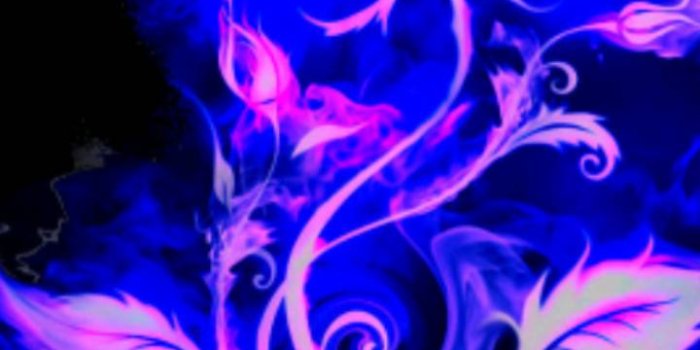 720x1280 Cool rose Wallpaper by awtard - 95 - Free on ZEDGE™