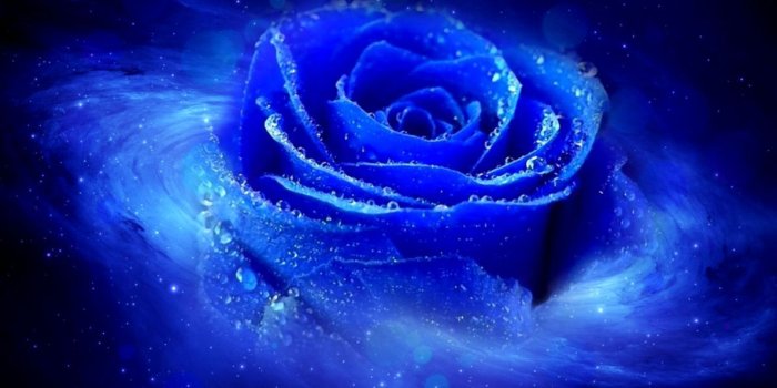 1190x744 Hd Cool 3d Blue Rose Desktop Wallpapers Backgrounds - Cool Blue Rose