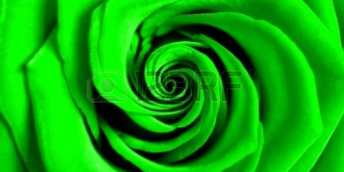 1116x987 Green Wallpaper Color Download | Find Wallpapers