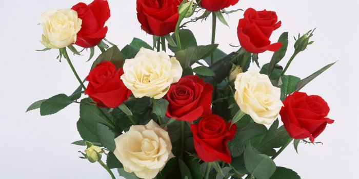 2950x2094 Flower: Bouquet Flowers Photography White Nice Roses Red Flower
