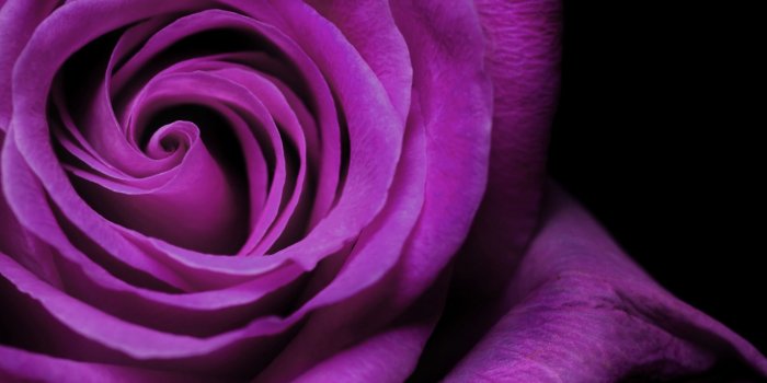2560x1600 63+ Cool Purple backgrounds ·① Download free cool High Resolution