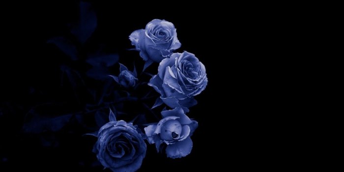 1298x801 Wallpapers Tagged With Essence: Dark Stylish Cool Chic Essence