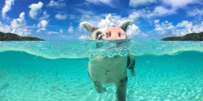 1280x868 How to Spend an Active Weekend on Great Exuma, Bahamas