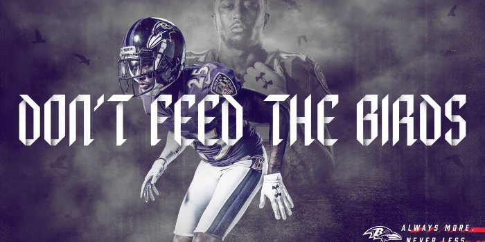 4800x3000 Ravens Wallpapers | Baltimore Ravens – baltimoreravens.com