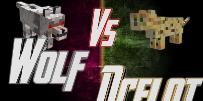 1080x760 Wolf VS Ocelot Minecraft Blog