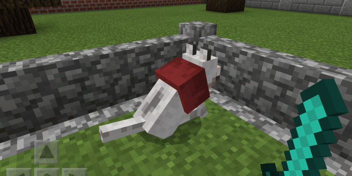 2048x1536 MCPE-17684] Wolf collar unnaturally large - Jira